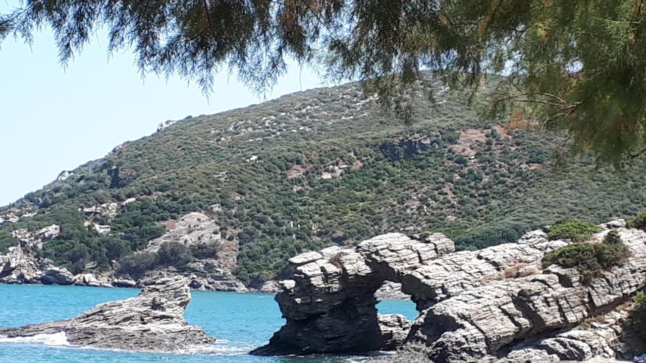Ellina'S Home - Euboea Island Greece Oxílithos Buitenkant foto